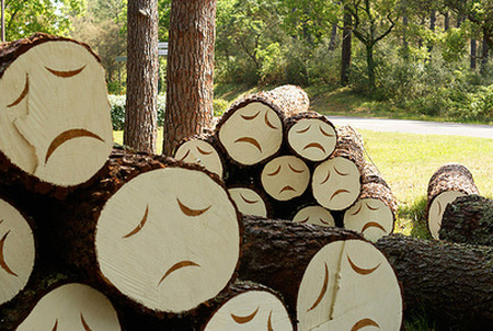 trees sad
